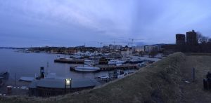 Blick auf den Osloer Hafen mit den Rathaustürmen. (Foto: Bomsdorf)